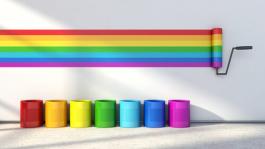 ישנו מגוון רחב של צבעים אותם ניתן לבחור כאשר מומלץ לשחק עם הגוונים בצביעת הבית